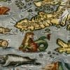 Iceland 1608 Antique Map