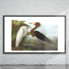 Vintage Audubon Purple Heron Print Antique Map