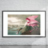 Vintage Audubon Roseate Spoonbill Print Antique Map