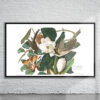 Vintage Audubon Black Billed Cuckoo Print Antique Map