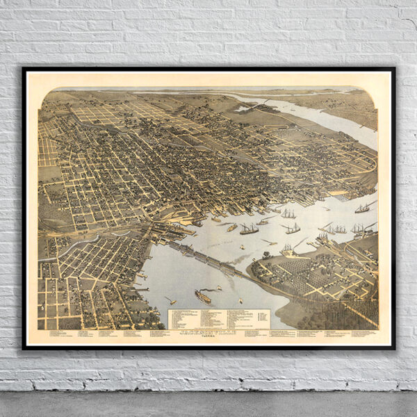 Vintage Birdseye View of Jacksonville Antique Map