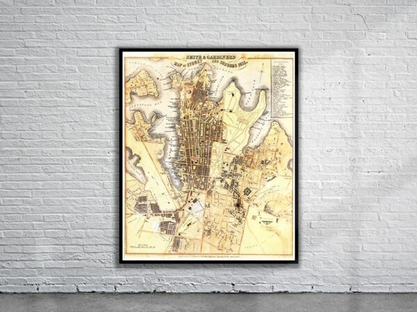 Vintage Map of Sydney 1855 Antique Map