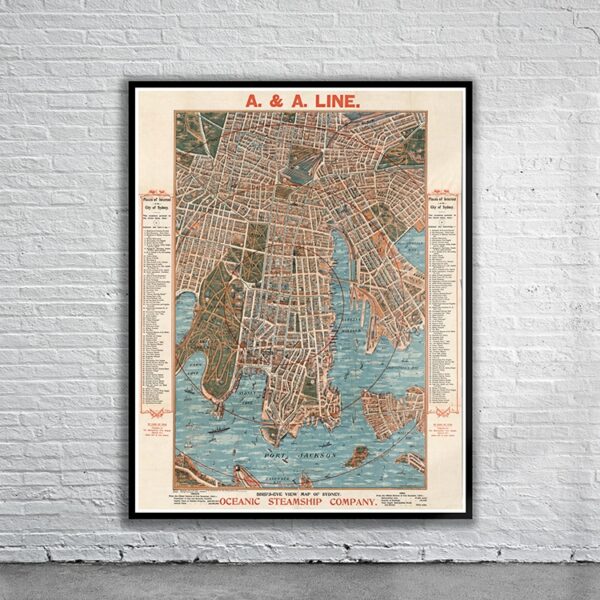 Vintage Map of Sydney 1905 Antique Map