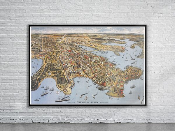 Vintage Birdseye View of Sydney 1888 Antique Map